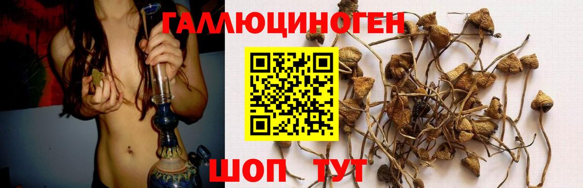 Псилоцибиновые грибы Psilocybine cubensis  Галлюциногенные грибы Psilocybe  Вход с VPN  Первоуральск 