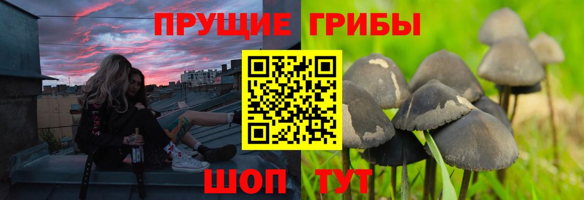 Галлюциногенные грибы GOLDEN TEACHER Первоуральск
